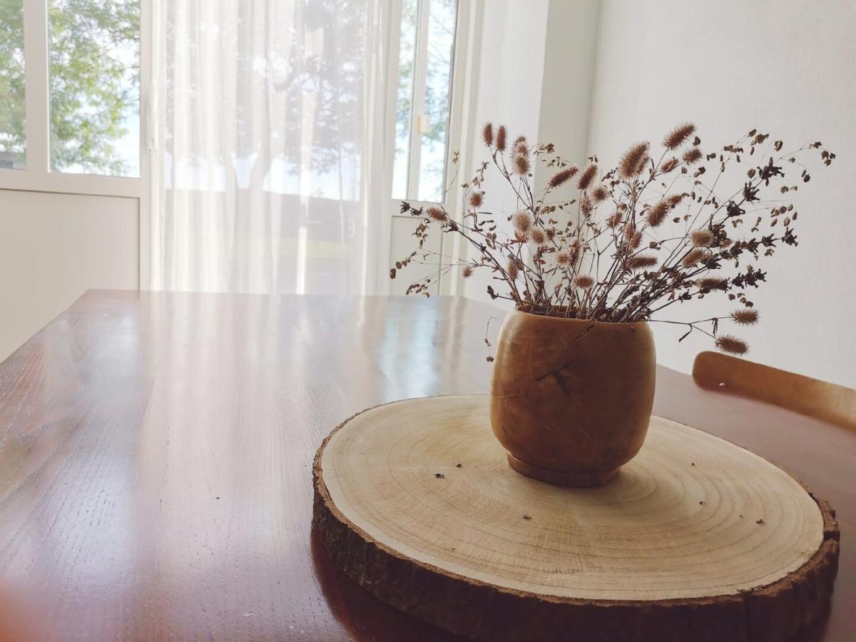 Maison D'Hotes La Grange Salers Ngoại thất bức ảnh