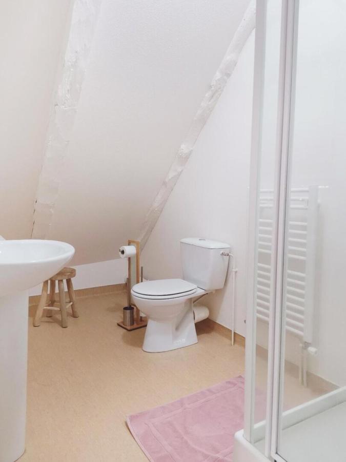 Maison D'Hotes La Grange Salers Ngoại thất bức ảnh