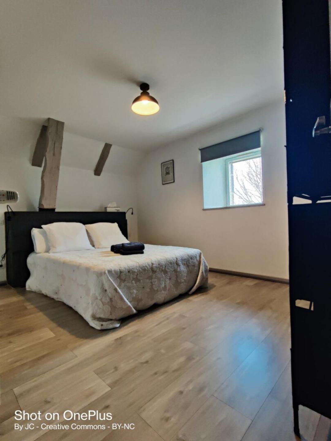 Maison D'Hotes La Grange Salers Ngoại thất bức ảnh